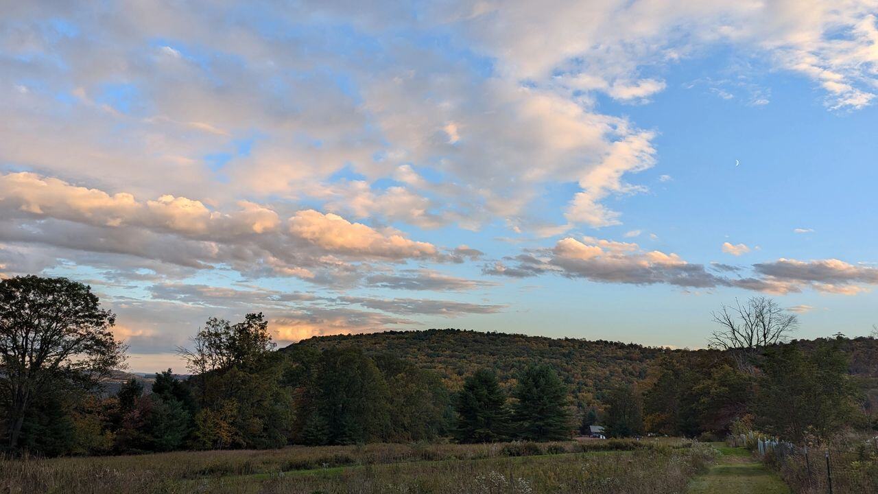 View over the meadow at Rider Park